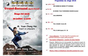 Stage d'été de Maître Yuan au Grand Bornand du 28 juillet 03 aout 2018
