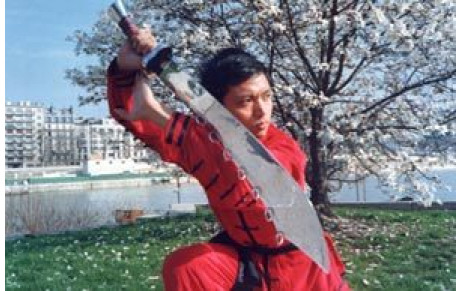 Maître YUAN Hong Hai et l'école Jing Wu