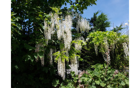 Séance de découverte