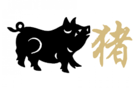 2019 année de cochon de terre