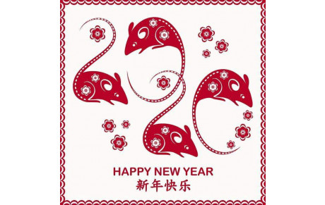 2020 année du rat de métal