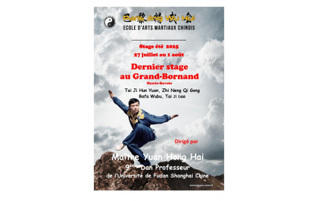 Stage annuel de Maître YUAN au Grand-Bornand